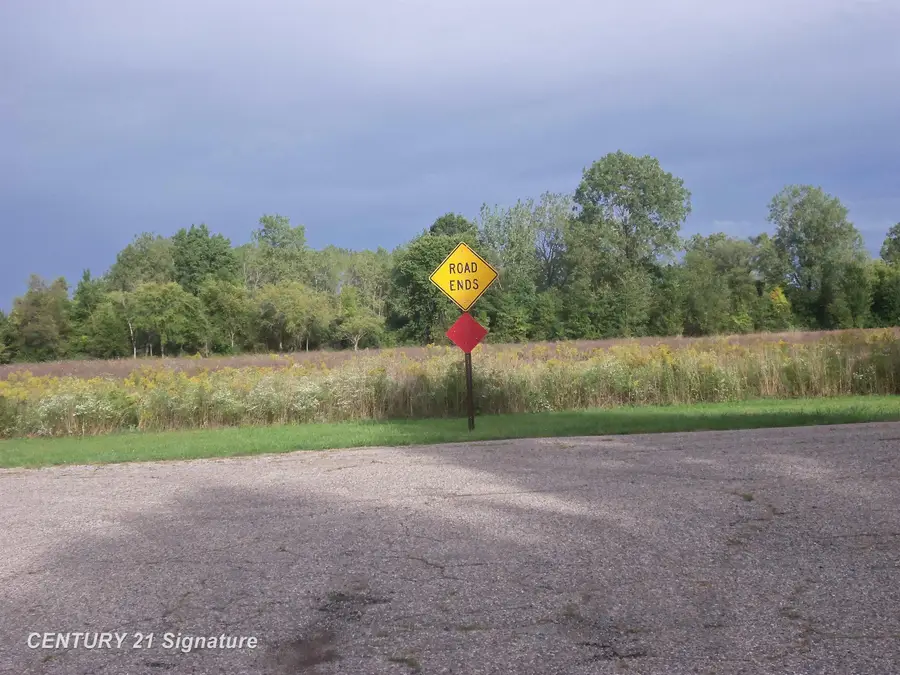 V/L W Coldwater RD, Flushing, MI 48433 - #2