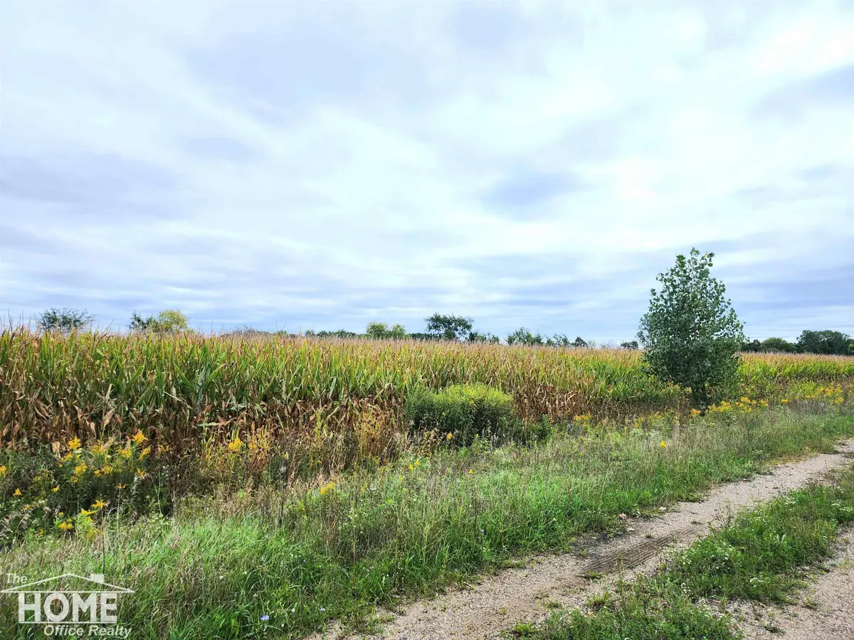 Vacant E Wilkinson RD, Owosso, MI 48867 - #1