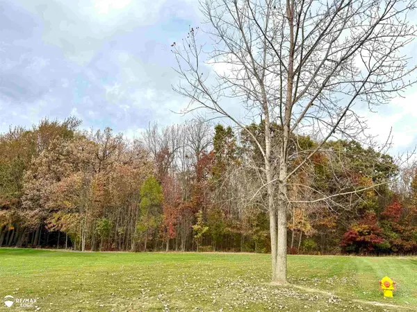 1381 Deer Creek TRL, GrandBlanc, MI 48439