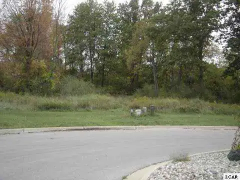 1001 SAW MILL CT, Adrian, MI 49221 - #2
