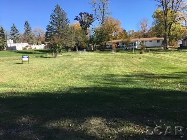 lots 31 & 43 N canal st DR, Onsted, MI 49265 - #2