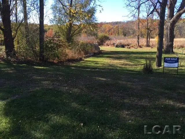 lots 31 & 43 N canal st DR, Onsted, MI 49265 - #3
