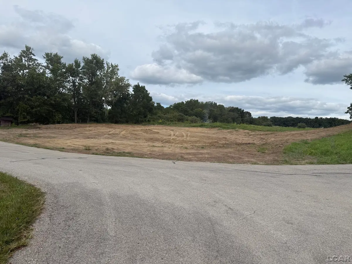 7841 DEVILS LAKE HWY, Manitou Beach, MI 49253 - #1