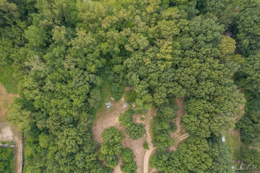 4260 S Lake Wilson RD, Hillsdale, MI 49242 - #3