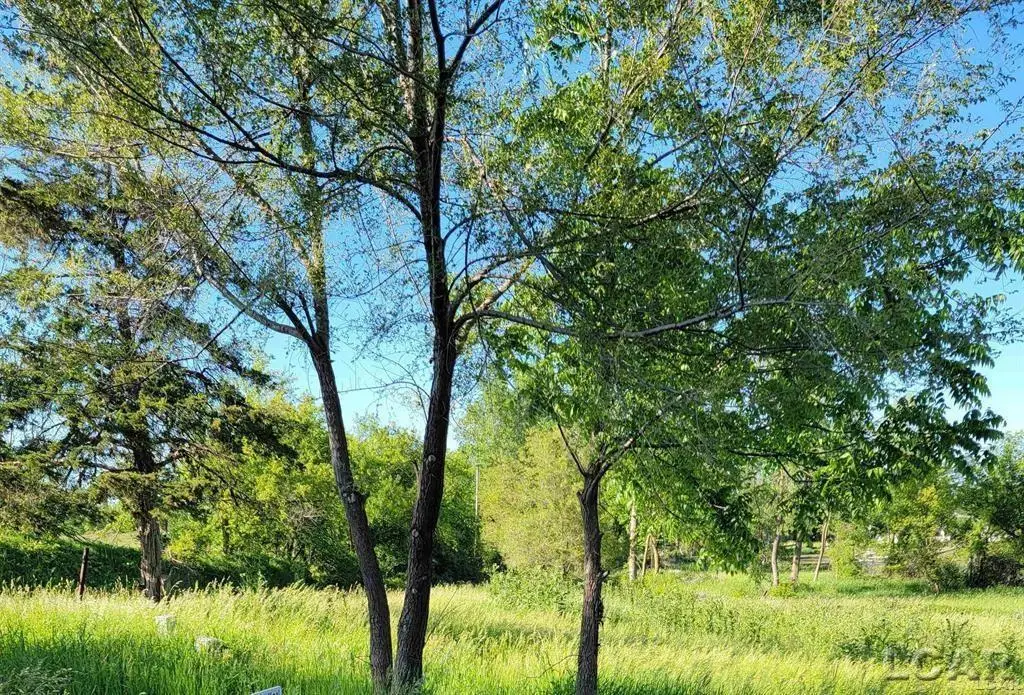 10000 M50 RD, Onsted, MI 49265 - #1