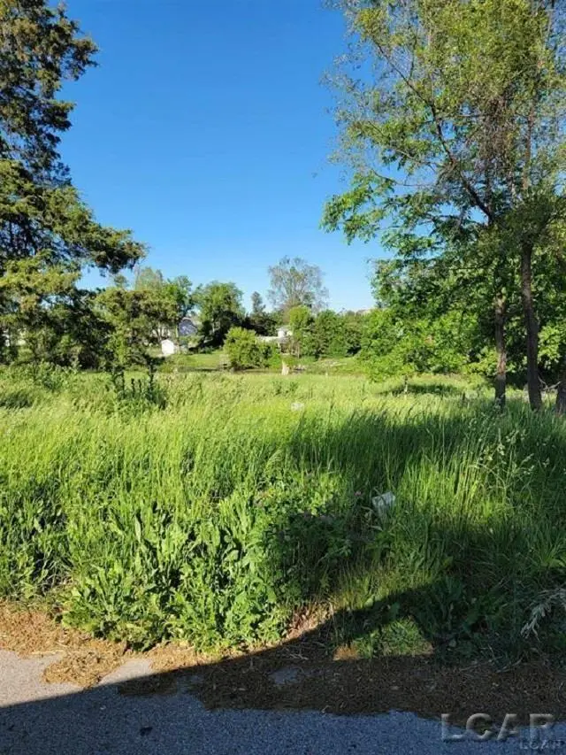 10000 M50 RD, Onsted, MI 49265 - #2