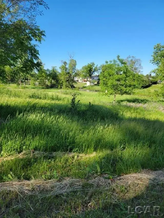 10000 M50 RD, Onsted, MI 49265 - #3