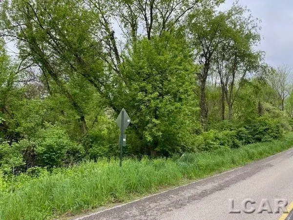 8000 BLK LOT 9 Stephenson RD, Onsted, MI 49265