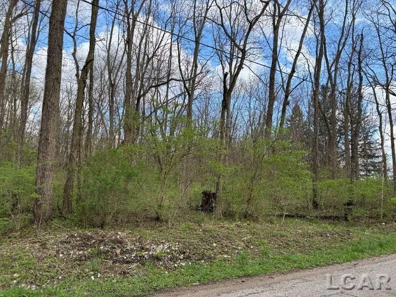 0 Black HWY, Adrian, MI 49221 - #1