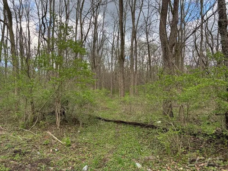 0 Black HWY, Adrian, MI 49221 - #2
