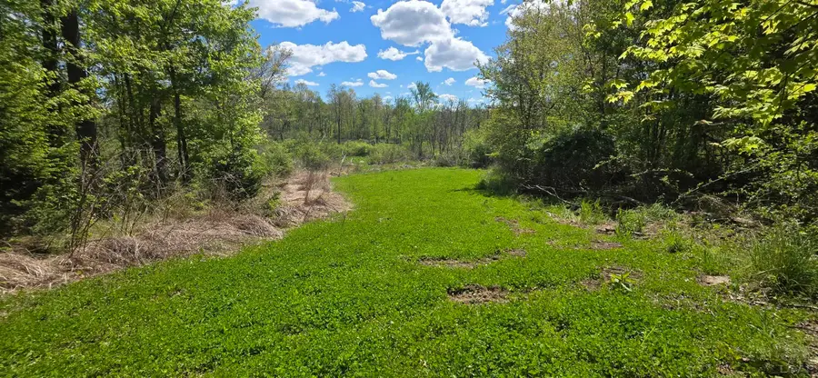 15252 27 Mile RD, Albion, MI 49224 - #2