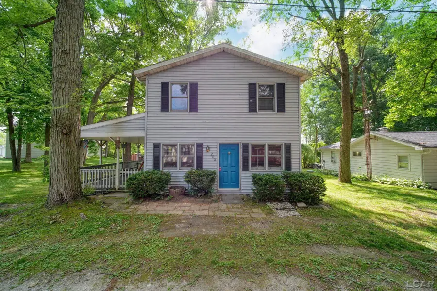 295 Ridgeway DR, Brooklyn, MI 49230 - #3