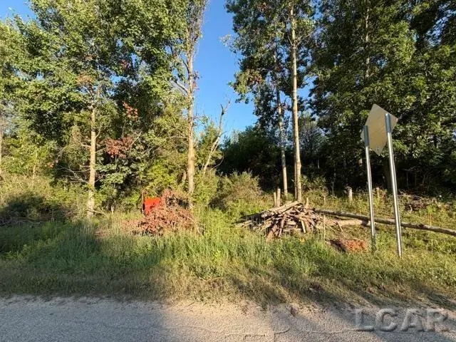 10459 Baker RD, Jerome, MI 49249 - #3