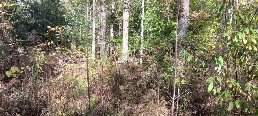 Pine Creek Dr. NONE, Burton, MI 48519 - #3