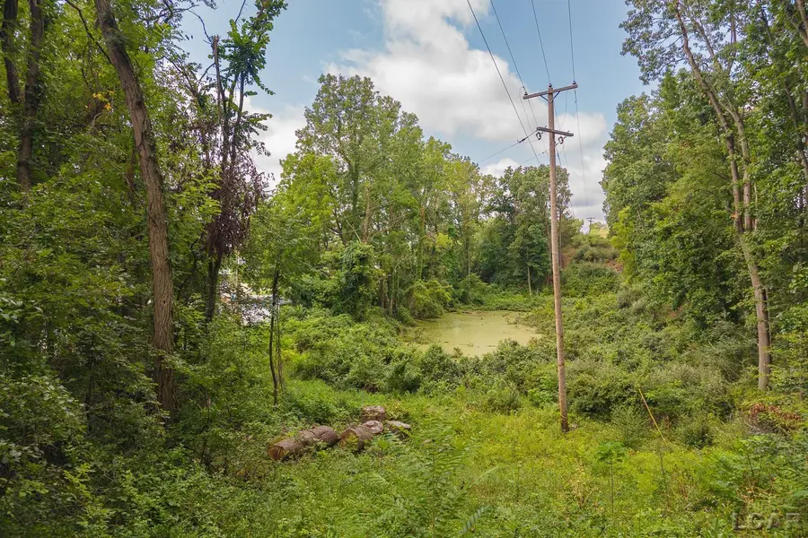 6000 McIntire CT, Tipton, MI 49287 - #3