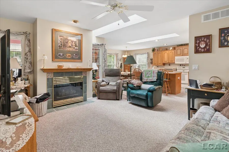 165 Stoli CT, Onsted, MI 49265 - #3