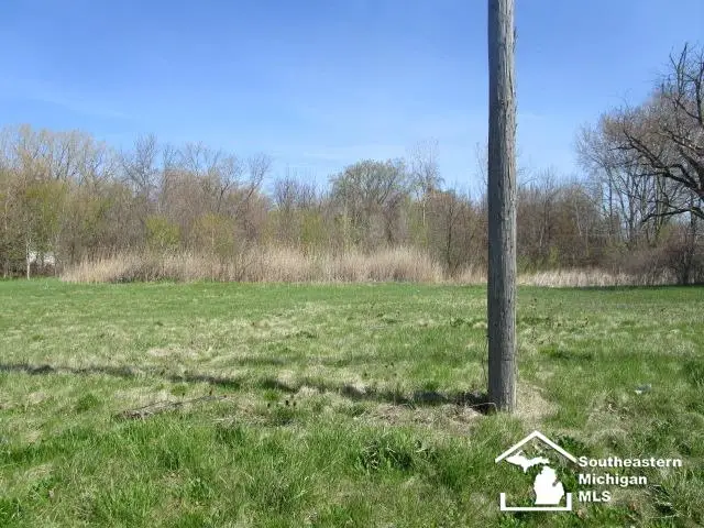 S Custer Lot B RD, Monroe, MI 48161 - #2