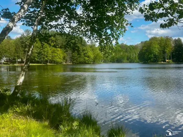 9835 Miramichi DR, Evart, MI 49631