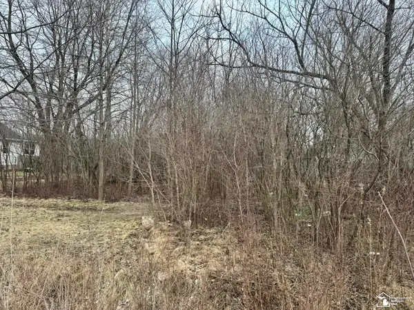 000 W Jefferson AVE, Brownstown, MI 48173