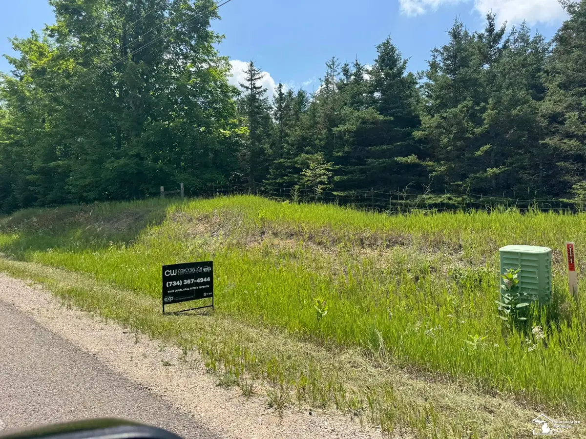 0000 Hayes Tower RD, Gaylord, MI 49735 - #1