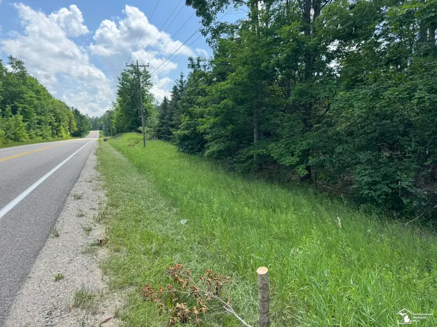 000 Hayes Tower RD, Gaylord, MI 49735 - #3