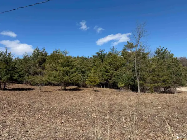 VL Lot 184 Chippewa Trail TRL, Evart, MI 49631