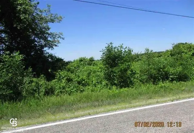 00 Belle River Lot R RD, Riley, MI 48041 - #3