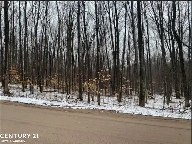 15390 Wurm Road DR, Wolverine, MI 49799 - #3
