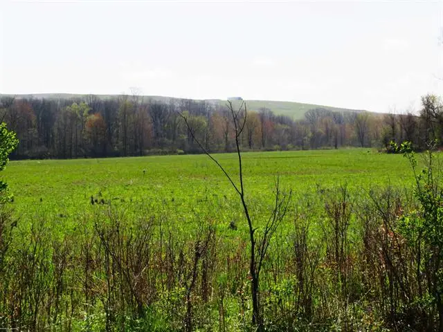 0 Gratiot RD, Lenox, MI 48048 - #2