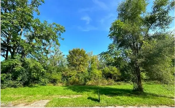 421 E Lorado AVE, Flint, MI 48505