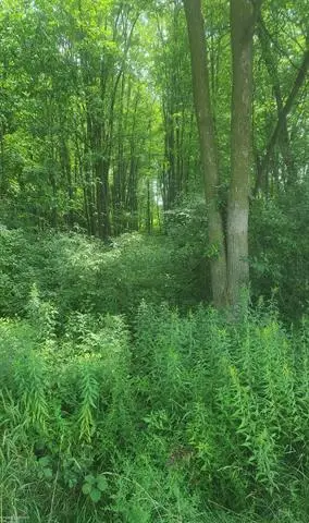 00 SHERIDAN RD, Emmett, MI 48022 - #1