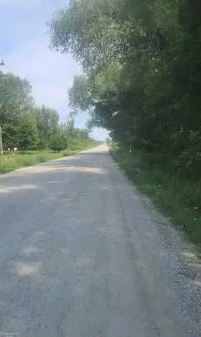 00 SHERIDAN RD, Emmett, MI 48022 - #3