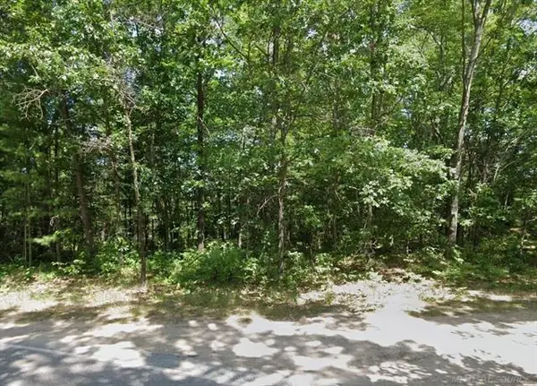 8656 N Blair DR, Bitely, MI 49309