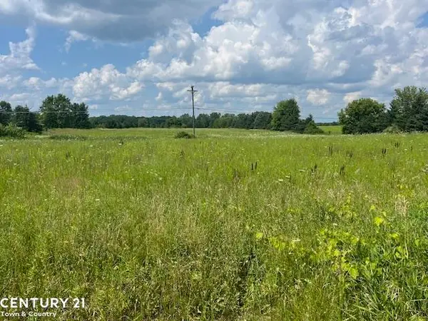 6839 Dryden RD, Almont, MI 48003