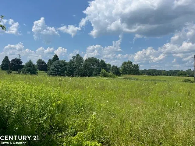 6839 Dryden RD, Almont, MI 48003 - #2
