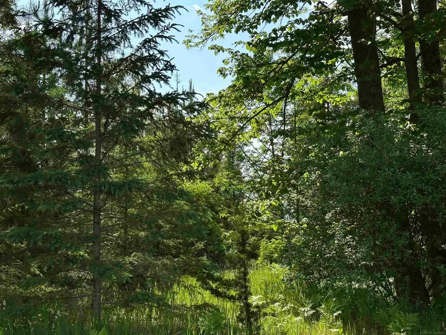N17375 Co Rd 579 RD, Hermansville, MI 49847 - #2