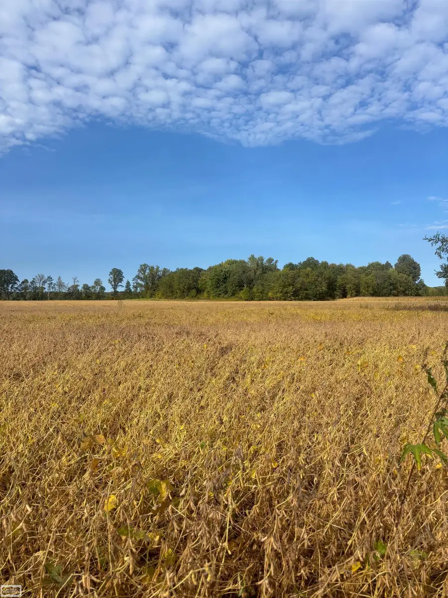 4452 Cole RD, Fort Gratiot, MI 48059 - #3