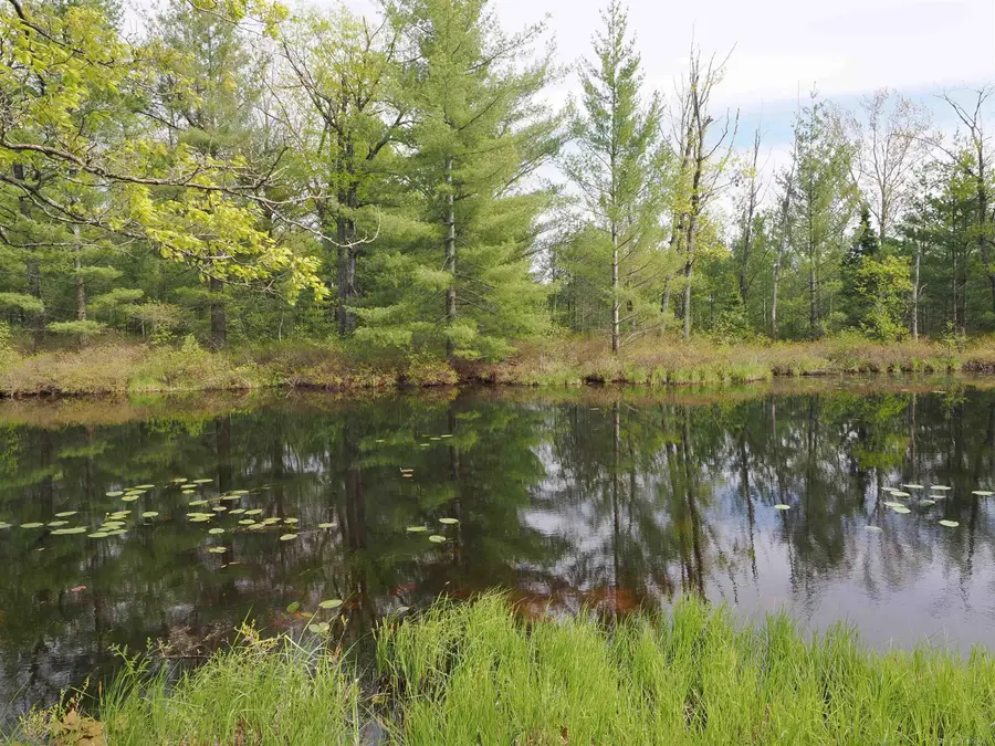 4011 Sandall RD, Alpena, MI 49707 - #3