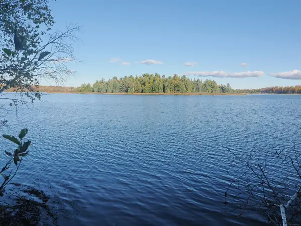 XXX W Birch Shores DR, TroutLake, MI 49793