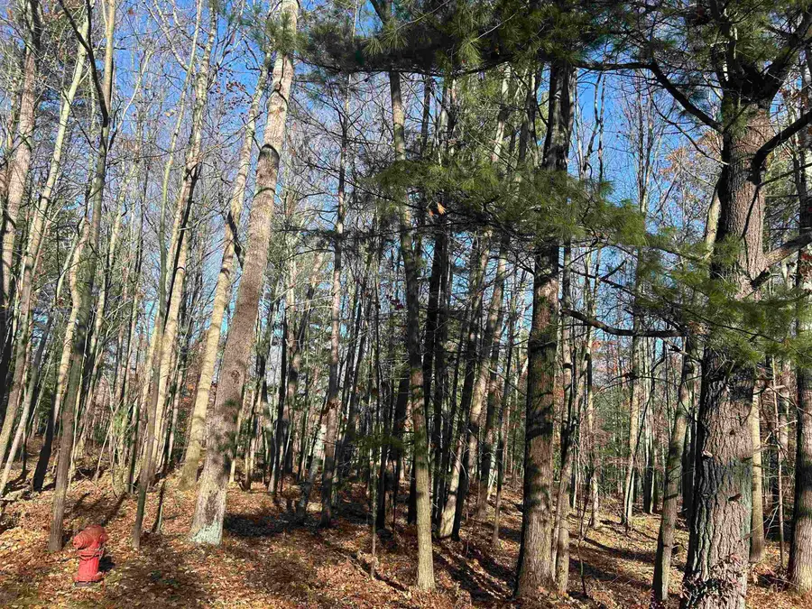 0 Fairway Dr. ST, Standish, MI 48658 - #3