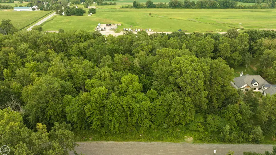 62880 Braun DR, Washington, MI 48094 - #2