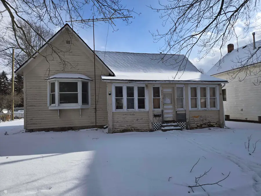 204 Mary ST, Yale, MI 48097 - #2
