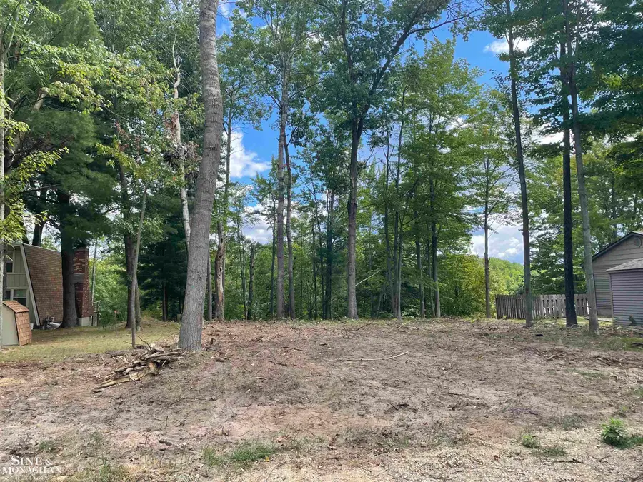 0 S Forest Lake DR, Alger, MI 48610 - #3