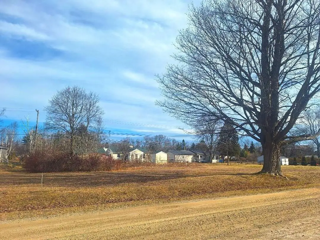 Lots 249-250 Blue Water BLVD, Lexington, MI 48450 - #1