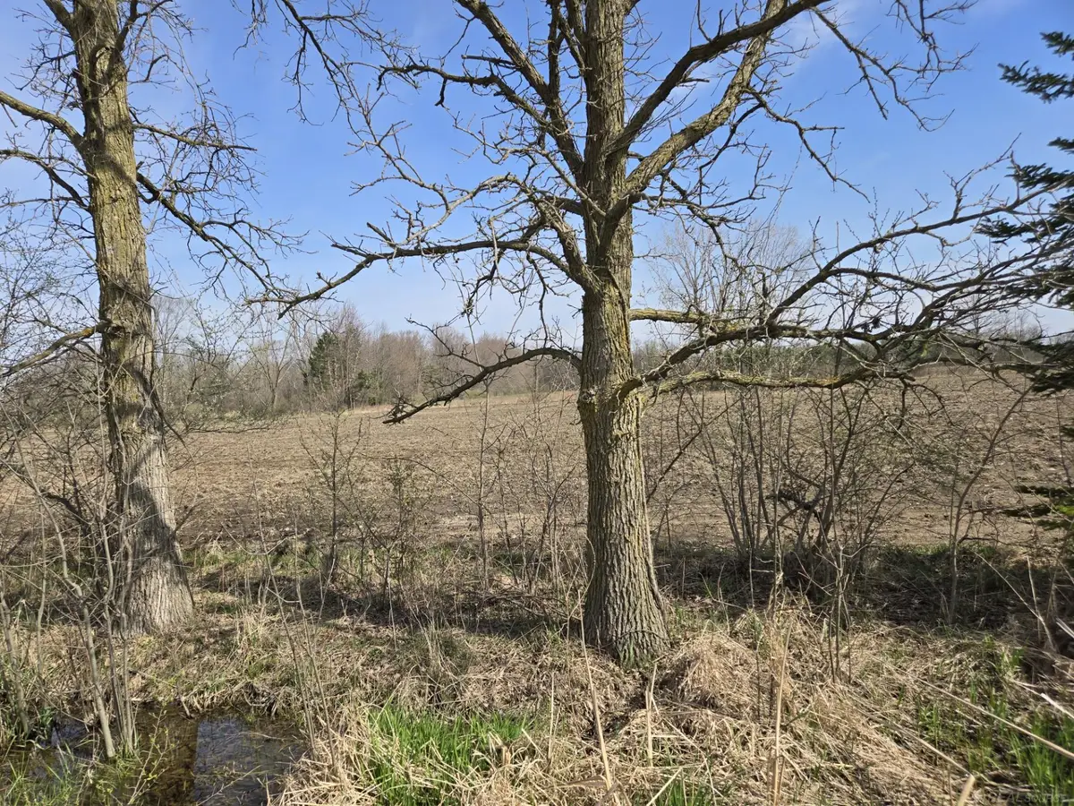 0 Weber (LOT C) RD, Richmond, MI 48063 - #1