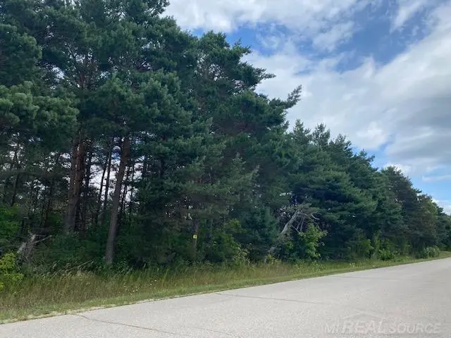 000 Elder.  LOT A RD, Mancelona, MI 49659 - #2
