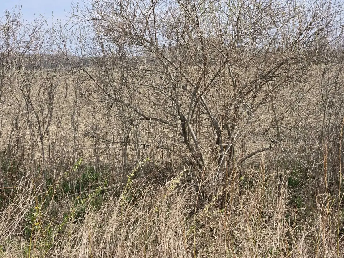 0 Weber (Lot B), Richmond, MI 48063 - #1