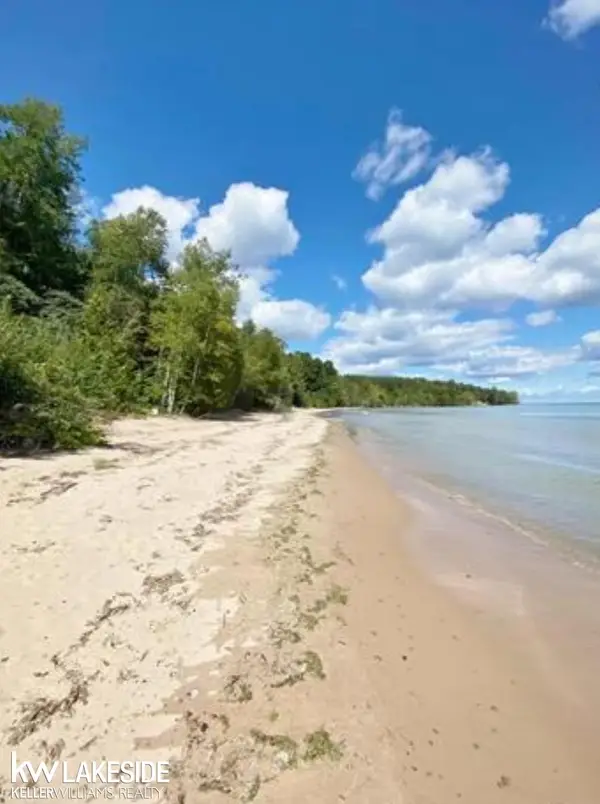 6248 Lakeshore DR, Palms, MI 48465