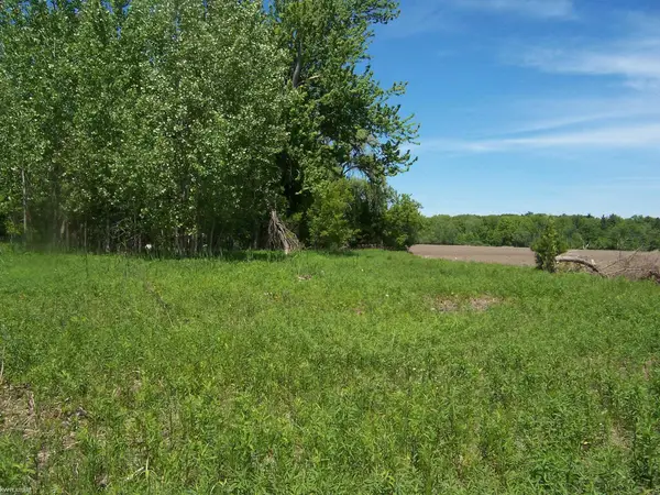Lot 2 Lapeer Rd RD, Kimball, MI 48074