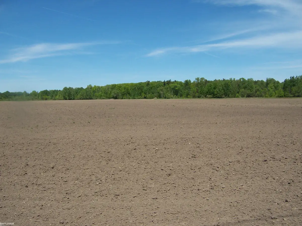 Lot 6 Lapeer Rd RD, Kimball, MI 48074 - #1